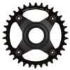 Shimano Steps E-MTB Direct Mount Chainring (Black) (1 X 12 Speed) (Single) (55mm Chainline) (34T)